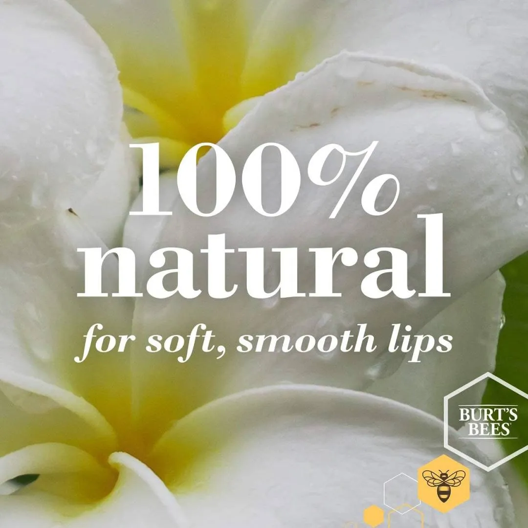 Burt's Bees Beeswax & Vanilla Bean Lip Balm - Pack of 2 - Image 2
